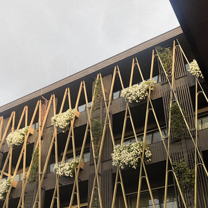 hotel petrus